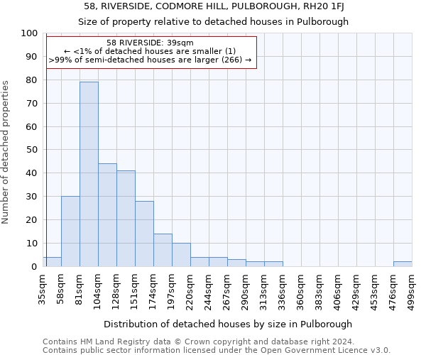 58, RIVERSIDE, CODMORE HILL, PULBOROUGH, RH20 1FJ: Size of property relative to detached houses in Pulborough