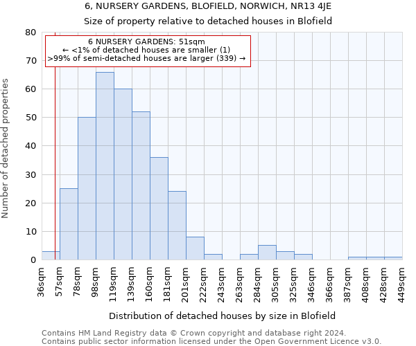 6, NURSERY GARDENS, BLOFIELD, NORWICH, NR13 4JE: Size of property relative to detached houses in Blofield