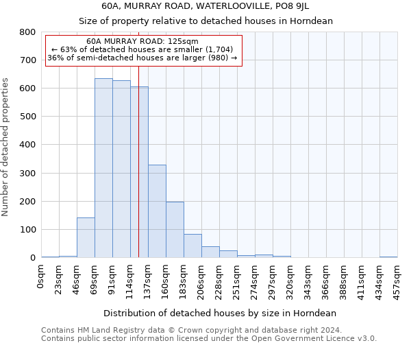 60A, MURRAY ROAD, WATERLOOVILLE, PO8 9JL: Size of property relative to detached houses in Horndean