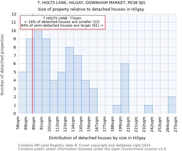 7, HOLTS LANE, HILGAY, DOWNHAM MARKET, PE38 0JG: Size of property relative to detached houses in Hilgay