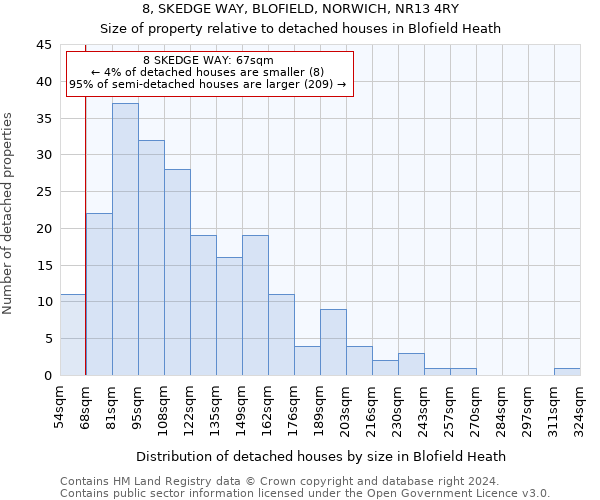 8, SKEDGE WAY, BLOFIELD, NORWICH, NR13 4RY: Size of property relative to detached houses in Blofield Heath