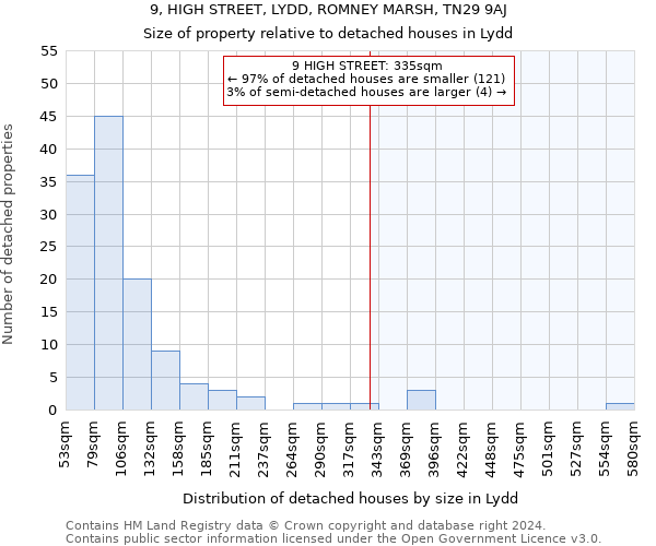 9, HIGH STREET, LYDD, ROMNEY MARSH, TN29 9AJ: Size of property relative to detached houses in Lydd