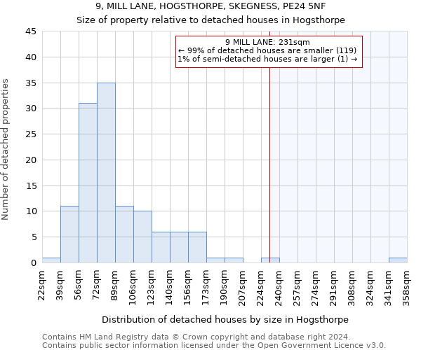 9, MILL LANE, HOGSTHORPE, SKEGNESS, PE24 5NF: Size of property relative to detached houses in Hogsthorpe