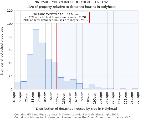 96, PARC TYDDYN BACH, HOLYHEAD, LL65 1NZ: Size of property relative to detached houses in Holyhead