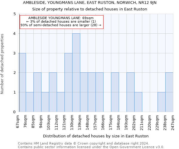 AMBLESIDE, YOUNGMANS LANE, EAST RUSTON, NORWICH, NR12 9JN: Size of property relative to detached houses in East Ruston