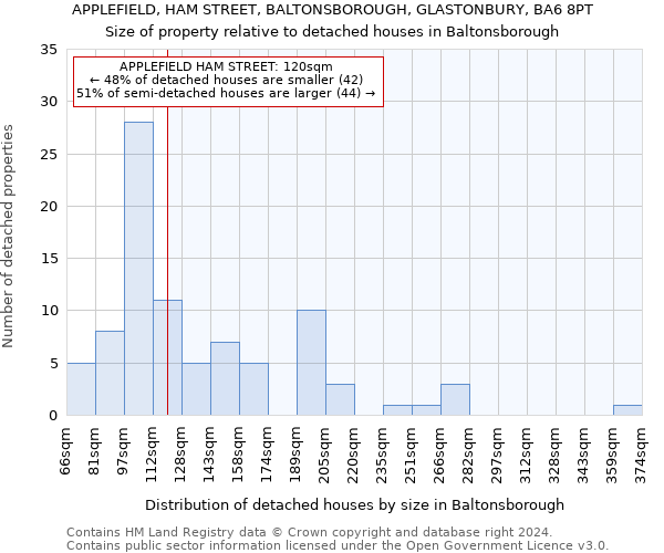 APPLEFIELD, HAM STREET, BALTONSBOROUGH, GLASTONBURY, BA6 8PT: Size of property relative to detached houses in Baltonsborough