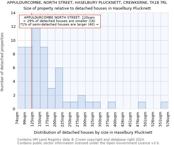 APPULDURCOMBE, NORTH STREET, HASELBURY PLUCKNETT, CREWKERNE, TA18 7RL: Size of property relative to detached houses in Haselbury Plucknett