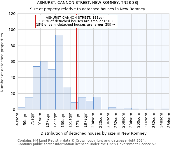 ASHURST, CANNON STREET, NEW ROMNEY, TN28 8BJ: Size of property relative to detached houses in New Romney