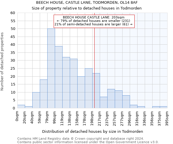 BEECH HOUSE, CASTLE LANE, TODMORDEN, OL14 8AF: Size of property relative to detached houses in Todmorden