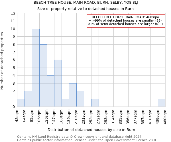 BEECH TREE HOUSE, MAIN ROAD, BURN, SELBY, YO8 8LJ: Size of property relative to detached houses in Burn