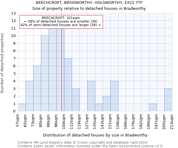 BEECHCROFT, BRADWORTHY, HOLSWORTHY, EX22 7TF: Size of property relative to detached houses in Bradworthy