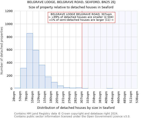 BELGRAVE LODGE, BELGRAVE ROAD, SEAFORD, BN25 2EJ: Size of property relative to detached houses in Seaford