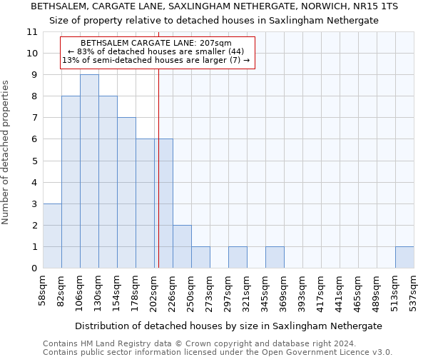 BETHSALEM, CARGATE LANE, SAXLINGHAM NETHERGATE, NORWICH, NR15 1TS: Size of property relative to detached houses in Saxlingham Nethergate