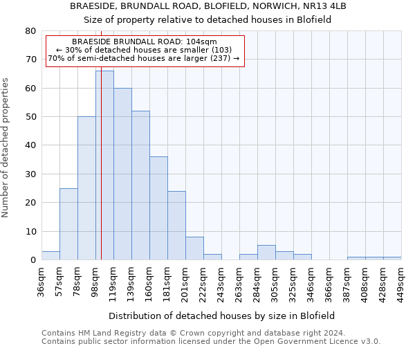 BRAESIDE, BRUNDALL ROAD, BLOFIELD, NORWICH, NR13 4LB: Size of property relative to detached houses in Blofield