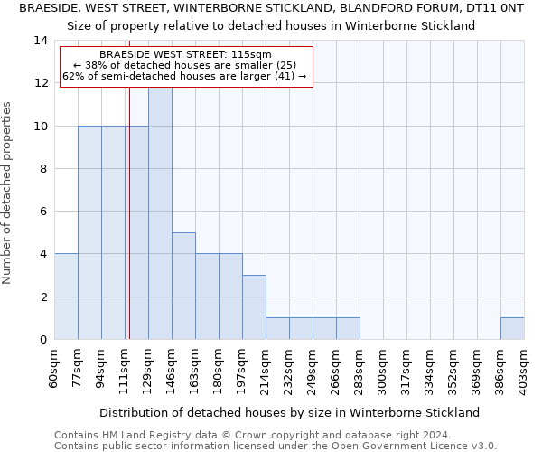 BRAESIDE, WEST STREET, WINTERBORNE STICKLAND, BLANDFORD FORUM, DT11 0NT: Size of property relative to detached houses in Winterborne Stickland