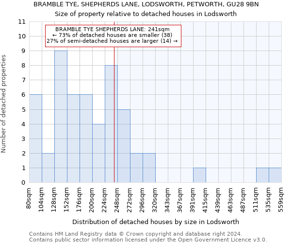 BRAMBLE TYE, SHEPHERDS LANE, LODSWORTH, PETWORTH, GU28 9BN: Size of property relative to detached houses in Lodsworth