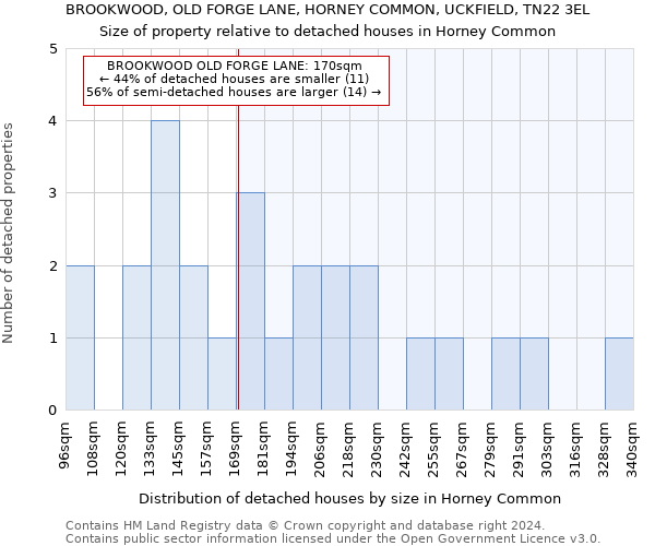 BROOKWOOD, OLD FORGE LANE, HORNEY COMMON, UCKFIELD, TN22 3EL: Size of property relative to detached houses in Horney Common