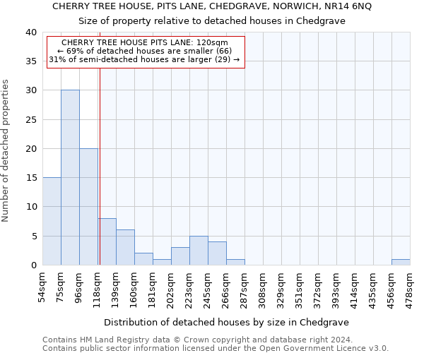 CHERRY TREE HOUSE, PITS LANE, CHEDGRAVE, NORWICH, NR14 6NQ: Size of property relative to detached houses in Chedgrave