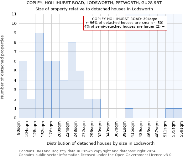 COPLEY, HOLLIHURST ROAD, LODSWORTH, PETWORTH, GU28 9BT: Size of property relative to detached houses in Lodsworth