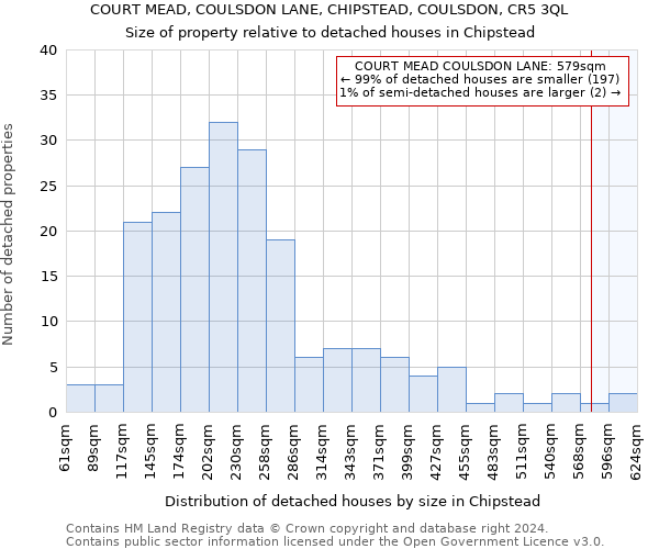 COURT MEAD, COULSDON LANE, CHIPSTEAD, COULSDON, CR5 3QL: Size of property relative to detached houses in Chipstead