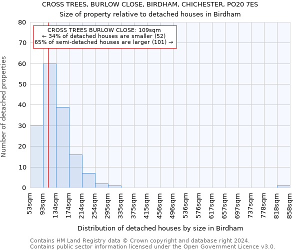 CROSS TREES, BURLOW CLOSE, BIRDHAM, CHICHESTER, PO20 7ES: Size of property relative to detached houses in Birdham