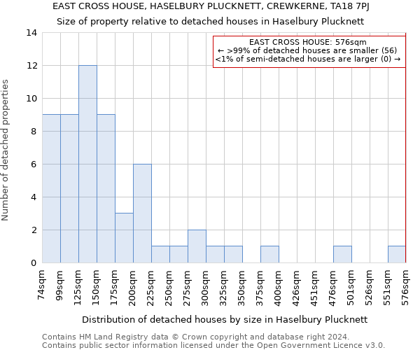 EAST CROSS HOUSE, HASELBURY PLUCKNETT, CREWKERNE, TA18 7PJ: Size of property relative to detached houses in Haselbury Plucknett