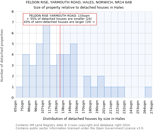 FELDON RISE, YARMOUTH ROAD, HALES, NORWICH, NR14 6AB: Size of property relative to detached houses in Hales