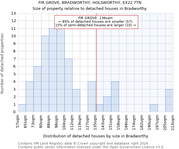 FIR GROVE, BRADWORTHY, HOLSWORTHY, EX22 7TN: Size of property relative to detached houses in Bradworthy