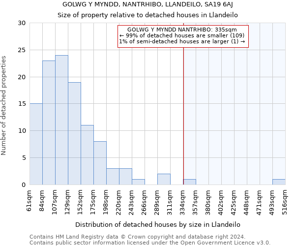 GOLWG Y MYNDD, NANTRHIBO, LLANDEILO, SA19 6AJ: Size of property relative to detached houses in Llandeilo