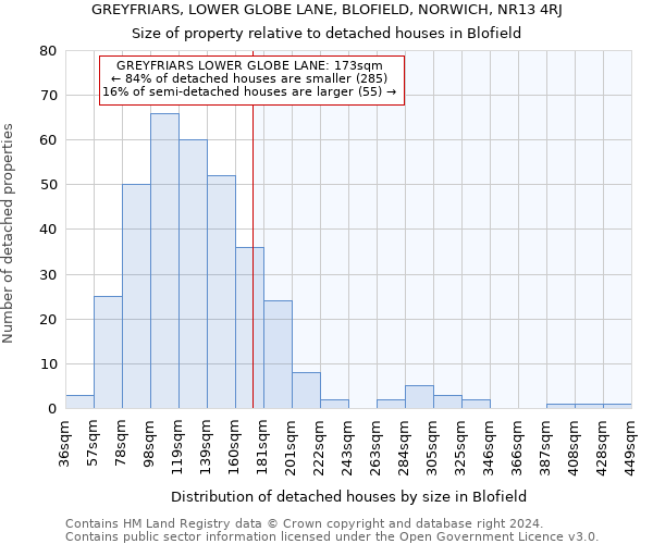 GREYFRIARS, LOWER GLOBE LANE, BLOFIELD, NORWICH, NR13 4RJ: Size of property relative to detached houses in Blofield