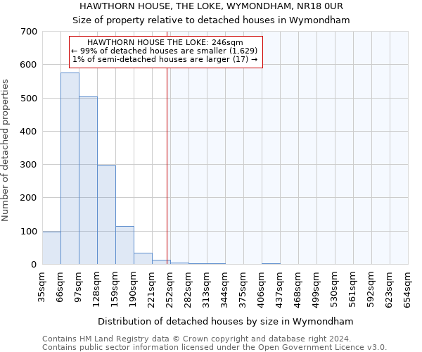 HAWTHORN HOUSE, THE LOKE, WYMONDHAM, NR18 0UR: Size of property relative to detached houses in Wymondham