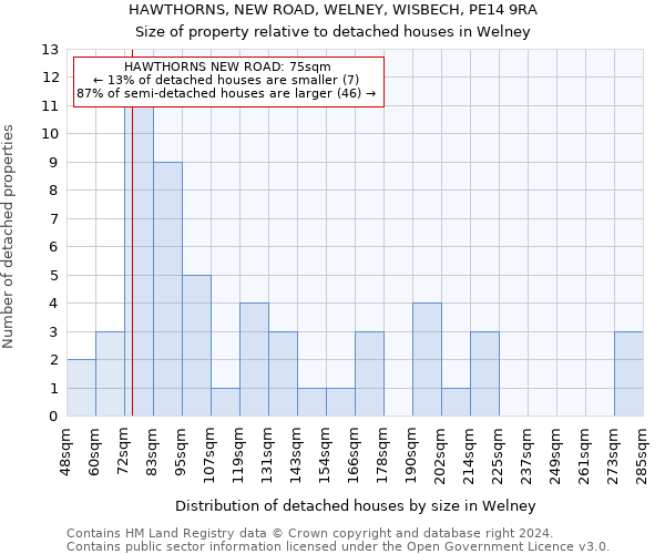 HAWTHORNS, NEW ROAD, WELNEY, WISBECH, PE14 9RA: Size of property relative to detached houses in Welney