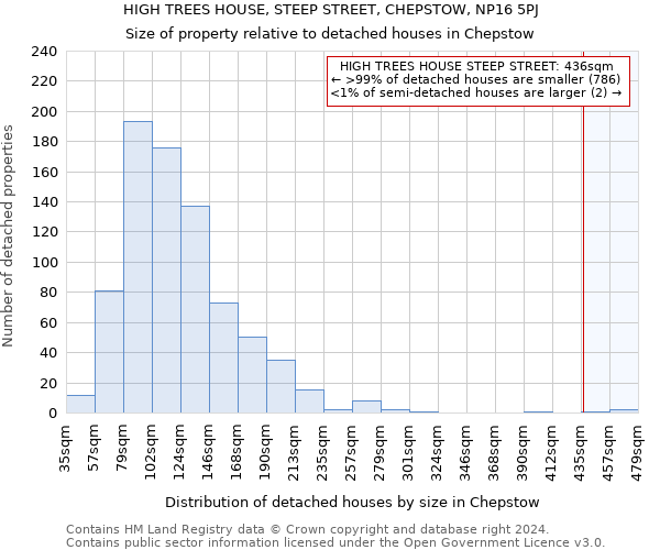 HIGH TREES HOUSE, STEEP STREET, CHEPSTOW, NP16 5PJ: Size of property relative to detached houses in Chepstow