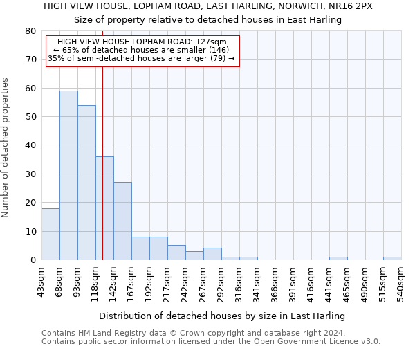 HIGH VIEW HOUSE, LOPHAM ROAD, EAST HARLING, NORWICH, NR16 2PX: Size of property relative to detached houses in East Harling