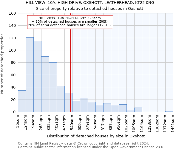 HILL VIEW, 10A, HIGH DRIVE, OXSHOTT, LEATHERHEAD, KT22 0NG: Size of property relative to detached houses in Oxshott