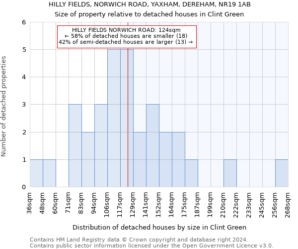 HILLY FIELDS, NORWICH ROAD, YAXHAM, DEREHAM, NR19 1AB: Size of property relative to detached houses in Clint Green