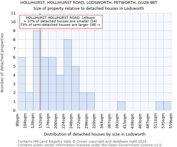 HOLLIHURST, HOLLIHURST ROAD, LODSWORTH, PETWORTH, GU28 9BT: Size of property relative to detached houses in Lodsworth