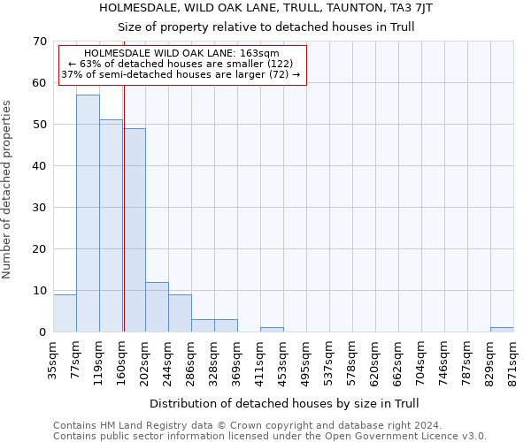 HOLMESDALE, WILD OAK LANE, TRULL, TAUNTON, TA3 7JT: Size of property relative to detached houses in Trull