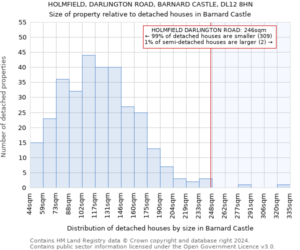 HOLMFIELD, DARLINGTON ROAD, BARNARD CASTLE, DL12 8HN: Size of property relative to detached houses in Barnard Castle