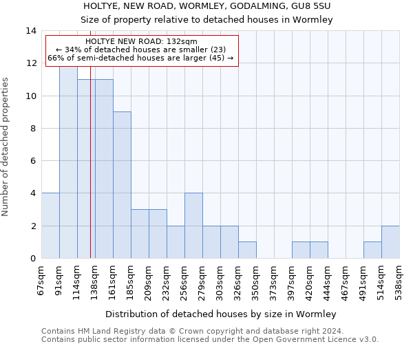 HOLTYE, NEW ROAD, WORMLEY, GODALMING, GU8 5SU: Size of property relative to detached houses in Wormley