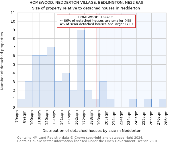 HOMEWOOD, NEDDERTON VILLAGE, BEDLINGTON, NE22 6AS: Size of property relative to detached houses in Nedderton