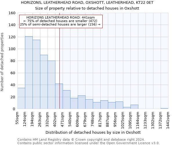 HORIZONS, LEATHERHEAD ROAD, OXSHOTT, LEATHERHEAD, KT22 0ET: Size of property relative to detached houses in Oxshott