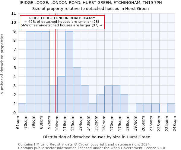 IRIDGE LODGE, LONDON ROAD, HURST GREEN, ETCHINGHAM, TN19 7PN: Size of property relative to detached houses in Hurst Green