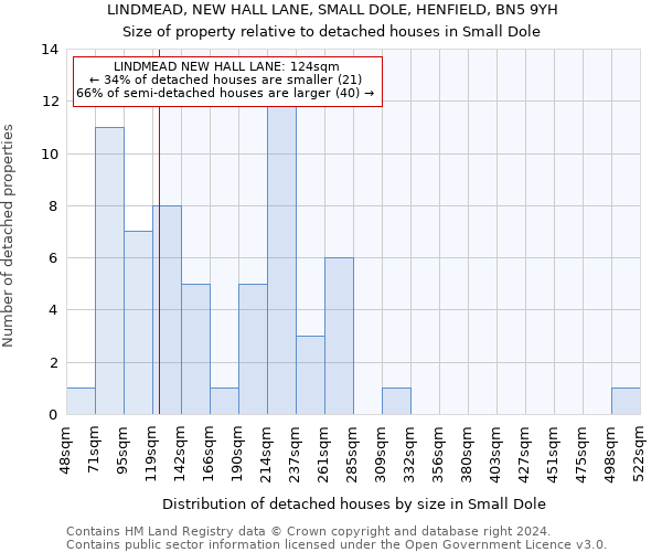 LINDMEAD, NEW HALL LANE, SMALL DOLE, HENFIELD, BN5 9YH: Size of property relative to detached houses in Small Dole