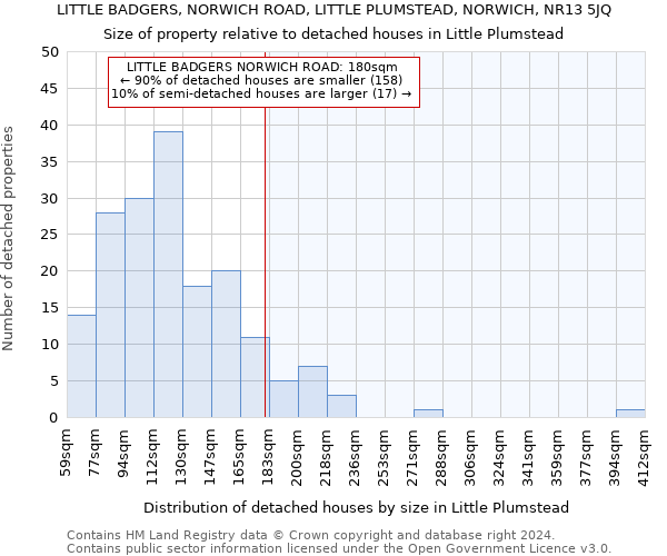 LITTLE BADGERS, NORWICH ROAD, LITTLE PLUMSTEAD, NORWICH, NR13 5JQ: Size of property relative to detached houses in Little Plumstead