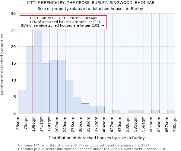 LITTLE BRENCHLEY, THE CROSS, BURLEY, RINGWOOD, BH24 4AB: Size of property relative to detached houses in Burley