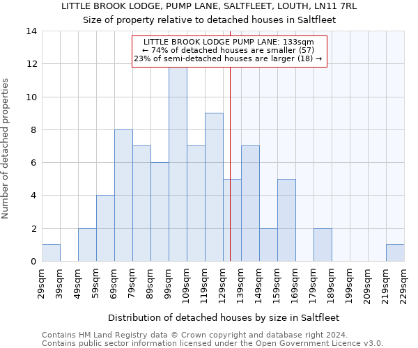 LITTLE BROOK LODGE, PUMP LANE, SALTFLEET, LOUTH, LN11 7RL: Size of property relative to detached houses in Saltfleet