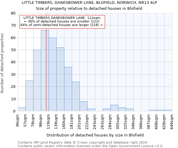 LITTLE TIMBERS, DANESBOWER LANE, BLOFIELD, NORWICH, NR13 4LP: Size of property relative to detached houses in Blofield