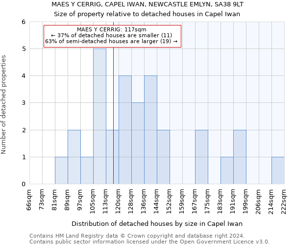 MAES Y CERRIG, CAPEL IWAN, NEWCASTLE EMLYN, SA38 9LT: Size of property relative to detached houses in Capel Iwan