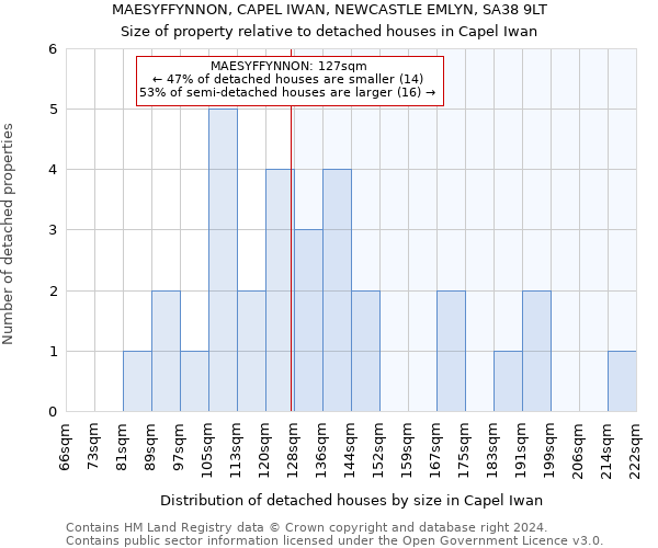 MAESYFFYNNON, CAPEL IWAN, NEWCASTLE EMLYN, SA38 9LT: Size of property relative to detached houses in Capel Iwan